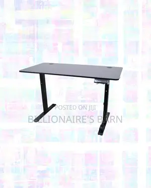 Modernize Your Office -Standing Desk Executive Sit-Stand Comfort