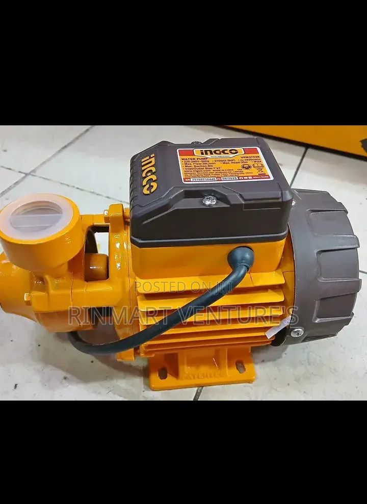 Ingco Water Pump