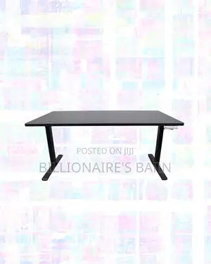 Modernize Your Office -Standing Desk Executive Sit-Stand Comfort