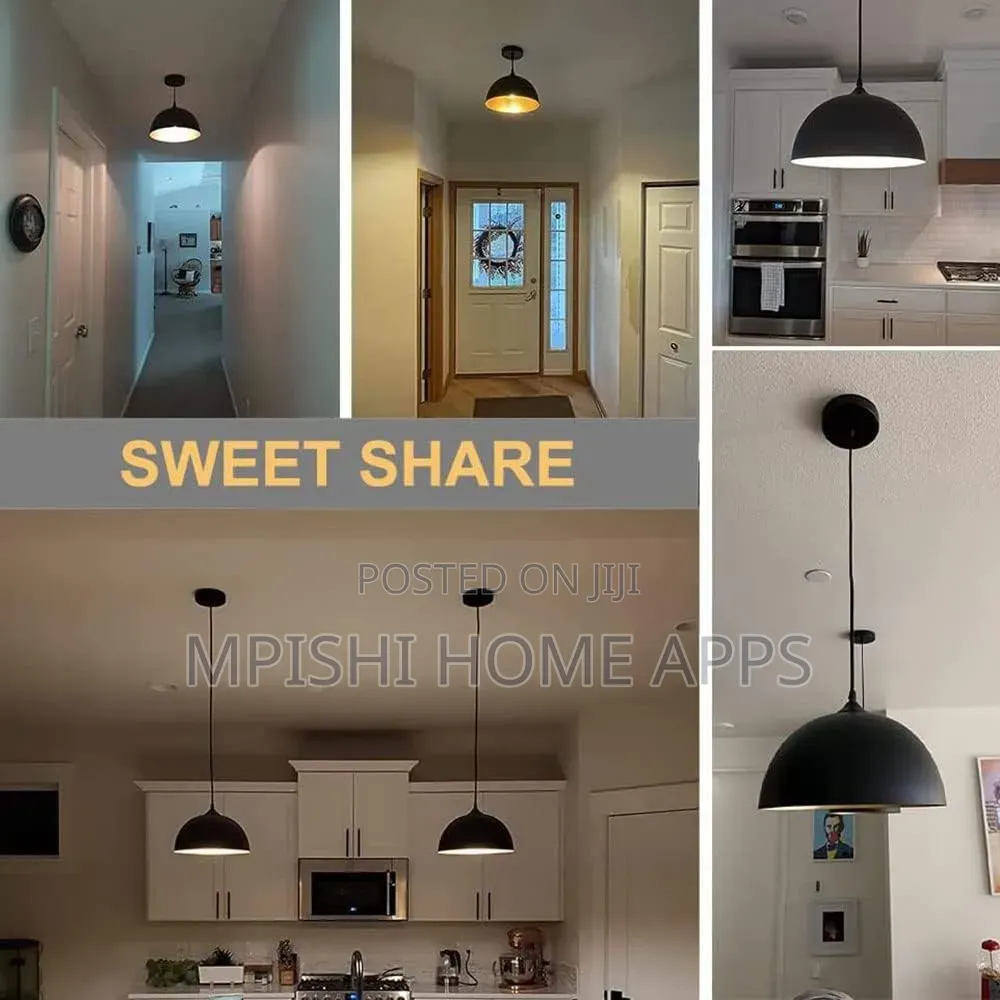 Black and Gold Metal Dome Pendant Light.