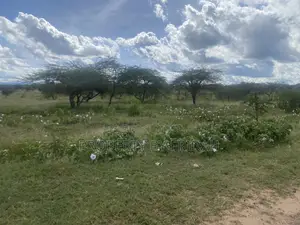 Acres for Sale in Mashuru Kajiado County