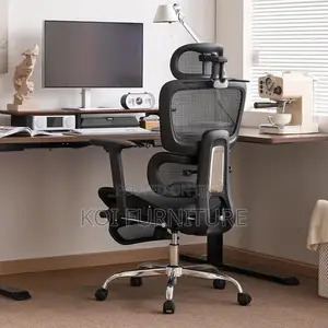 Office Chairs; Aerro Apex Orthopedic Ergonomic Office Chairs