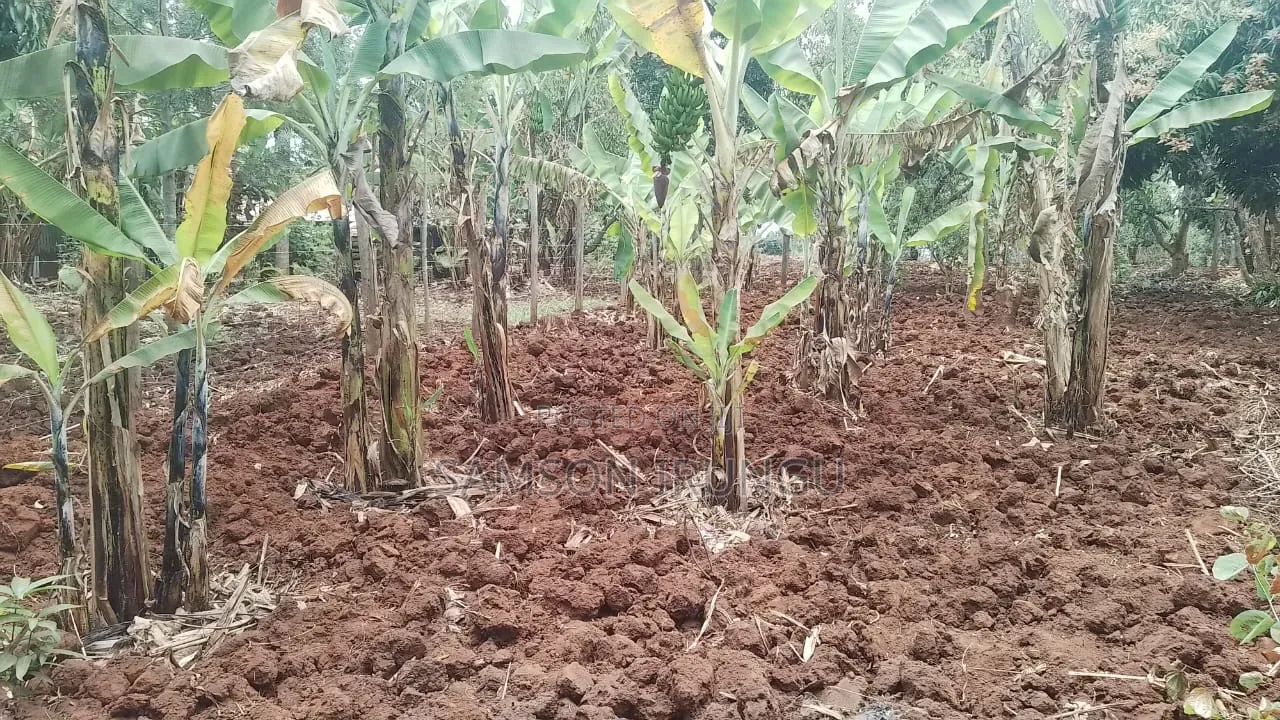 Redidential Plot for Sale