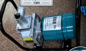 Premier Dc Solar Surface Pump 3"