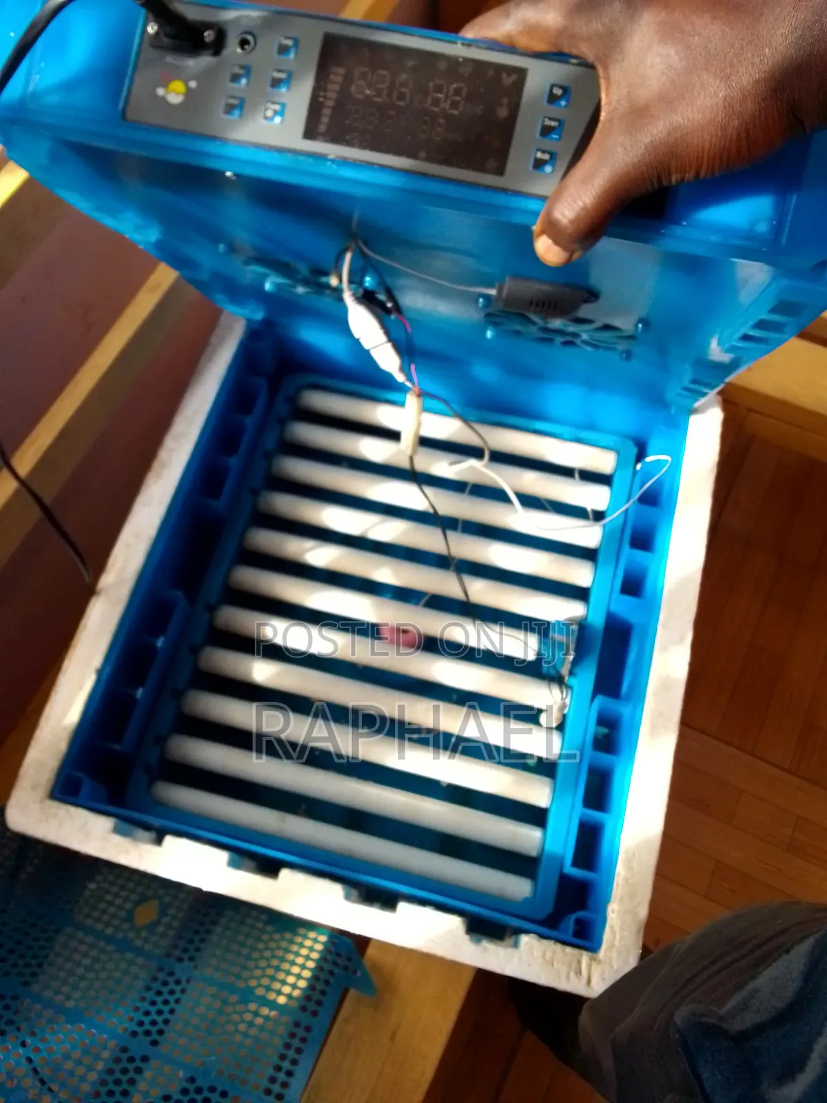 Egg Incubator