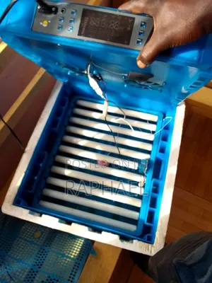 Egg Incubator
