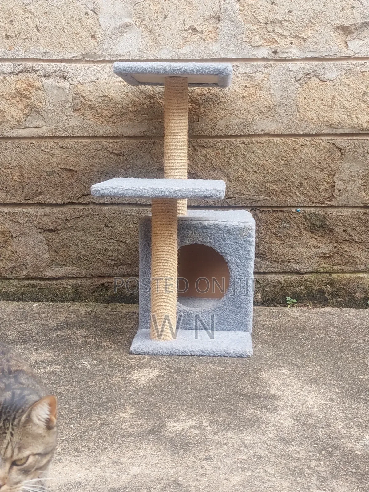 Cat Tree House With Scratching Post and Lounge