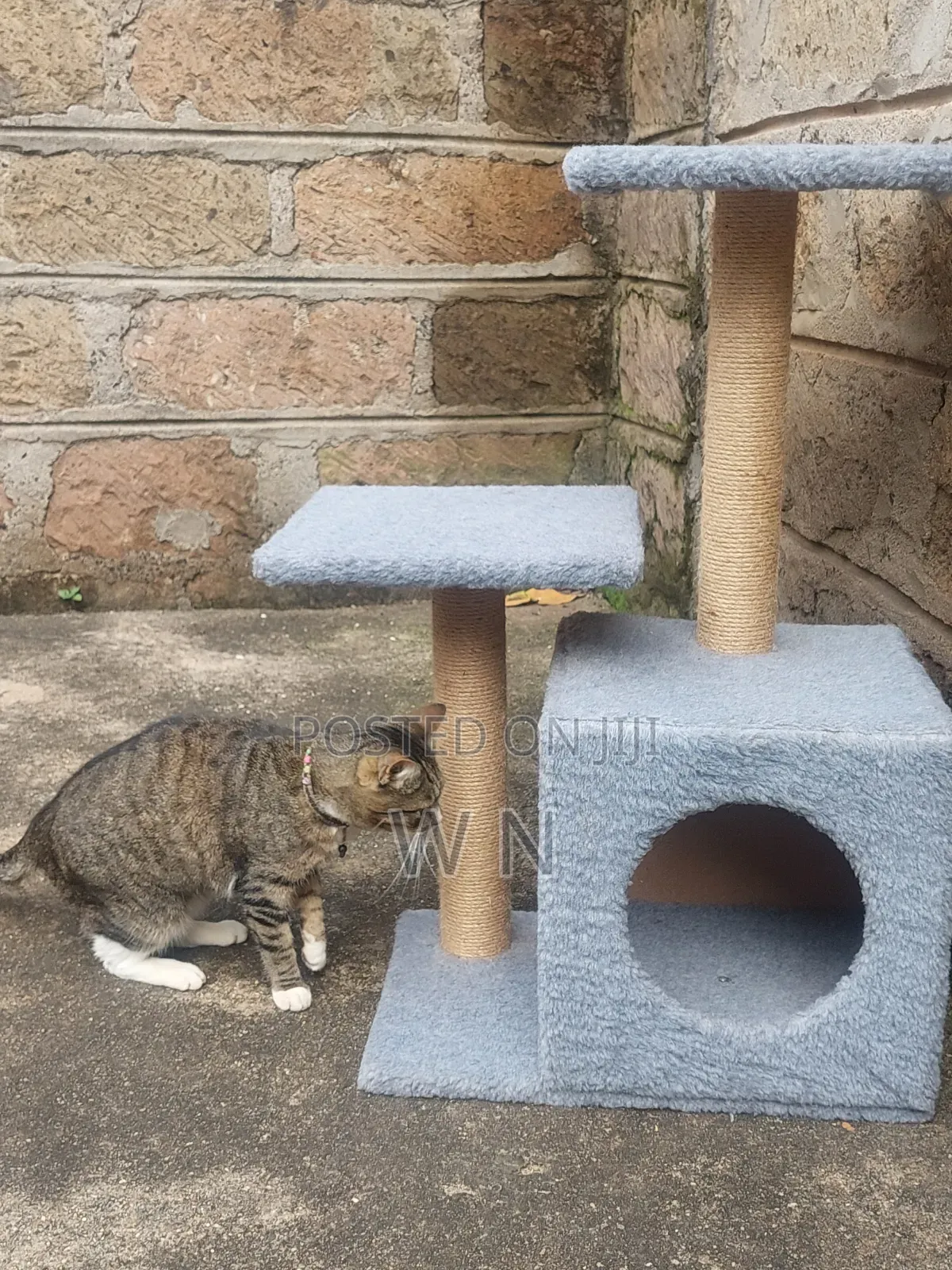 Cat Tree House With Scratching Post and Lounge