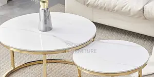 Coffee Table; Nymphar Nesting Marble Coffee Table in Dual Style