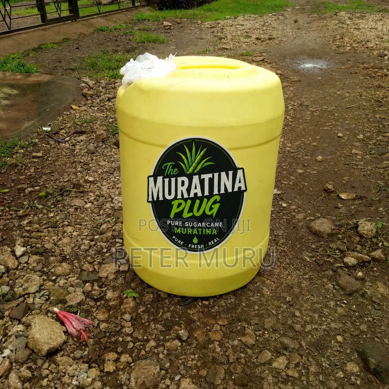 Muratina Plug