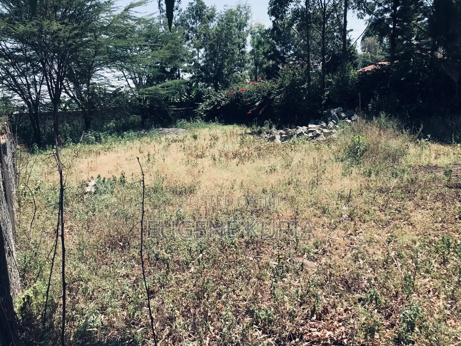 1/8 Acre Plot