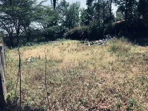 1/8 Acre Plot
