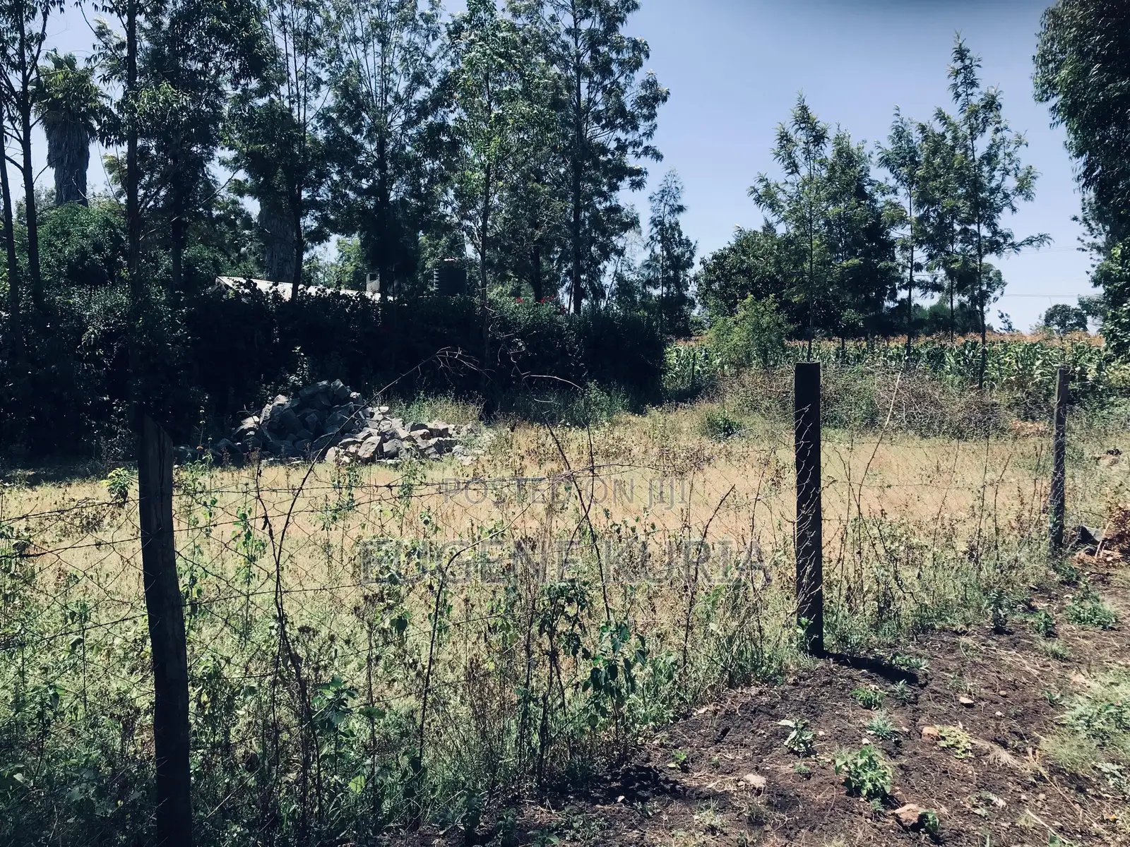 1/8 Acre Plot