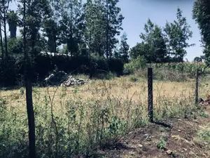 1/8 Acre Plot