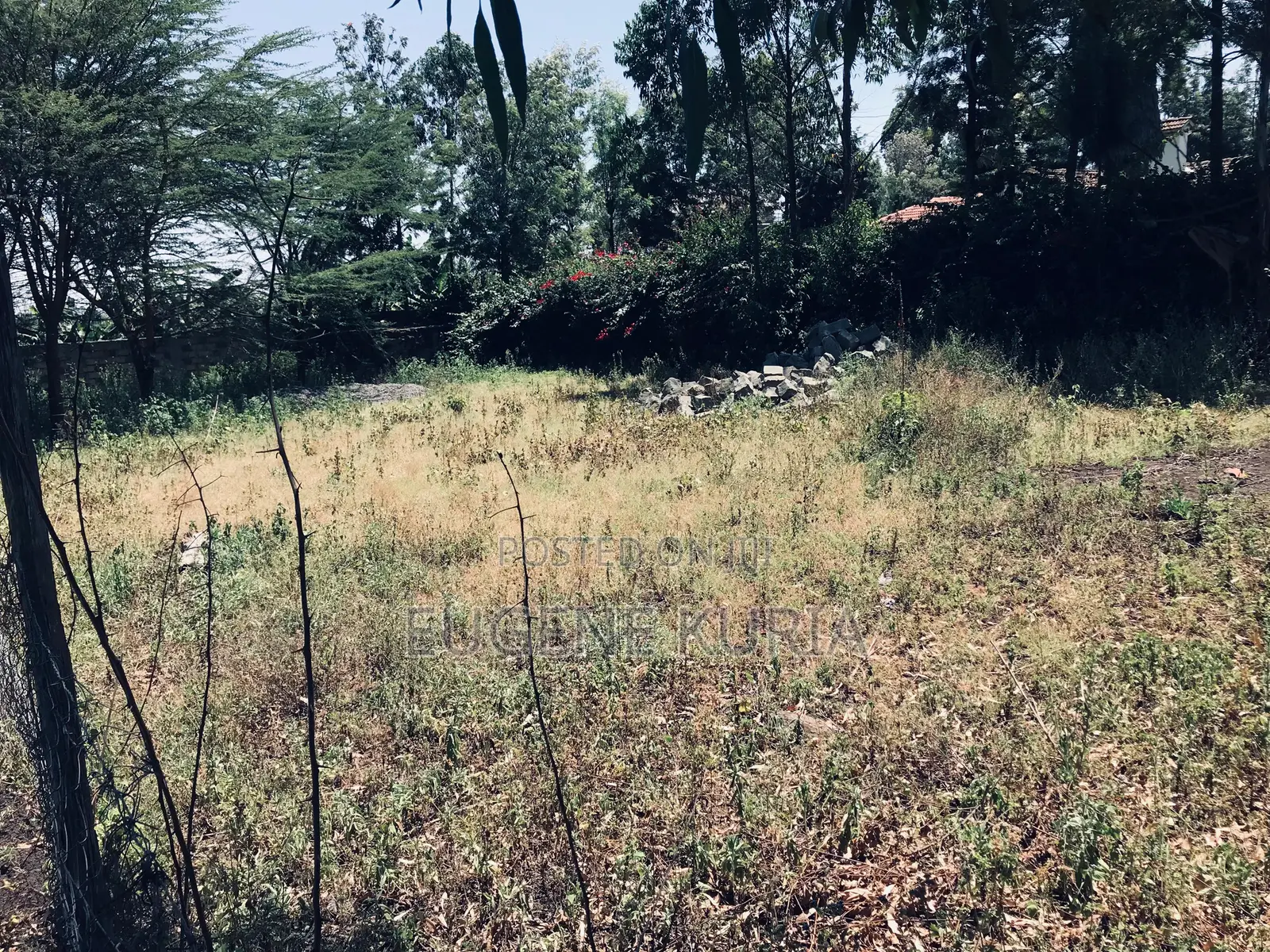 1/8 Acre Plot