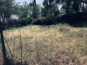 1/8 Acre Plot