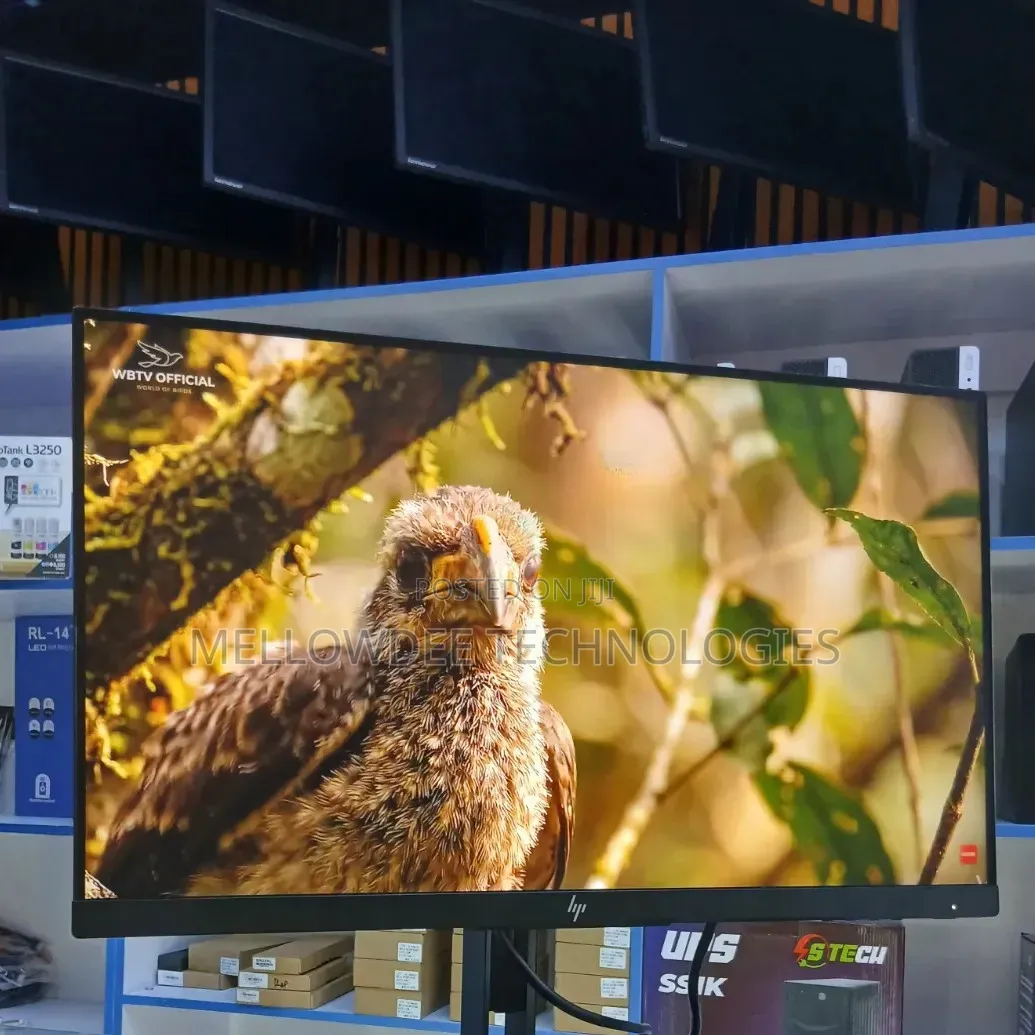 Hp 23" Monitor