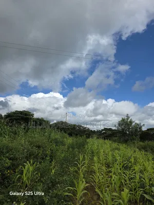 18 Acres at Maanzoni Near Outback Resort