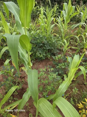 1 Acre Touching Mombasa Road at Machakos Junction,Kyumbi