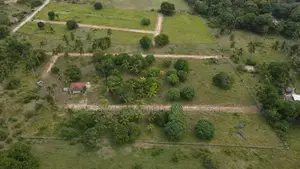 Plots for Sale (Diani)