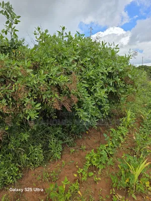 40 Acres at Lukenya Opposite Simba Cement,1km From Msa Road