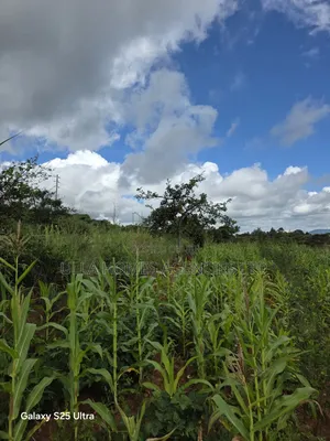 5 Acres at Maanzoni Area