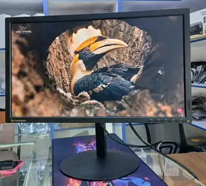 Lenovo Thinkvision T2324pa Monitor