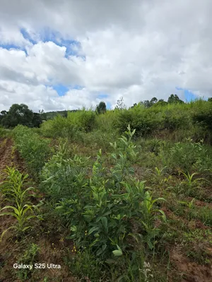 5 Acres Behind Gateway Mall