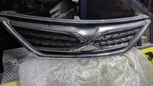 Toyota Mark X 2010 Grill