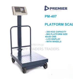 Premier Scale With Arm