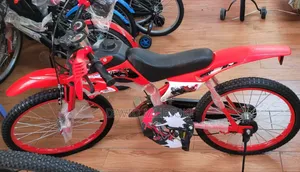 Premier Duthi Bike Size 20