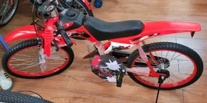 Premier Duthi Bike Size 20.