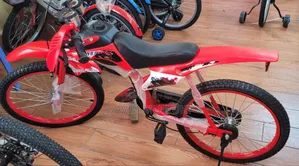 Premier Duthi Bikes Size 20.