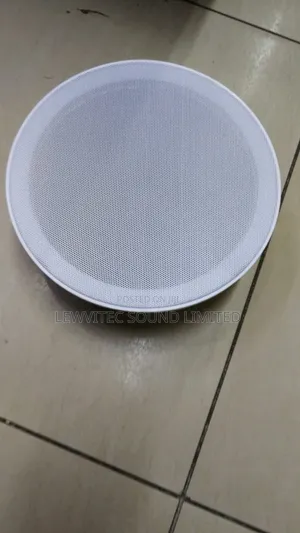 Ceiling Speaker