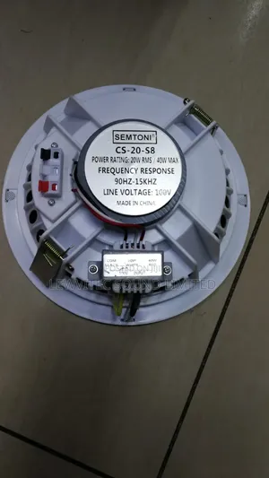 Ceiling Speaker