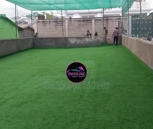 Turf Green Grass That Bring Life