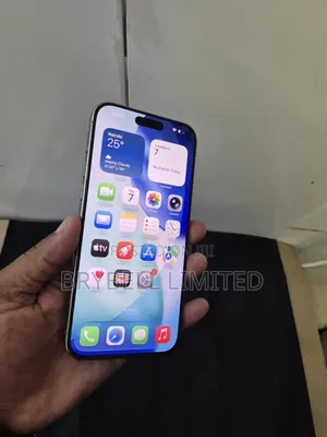 Apple iPhone 15 Pro Max 256 GB Gray
