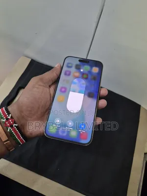 Apple iPhone 15 Pro Max 256 GB Gray