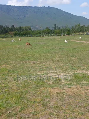50x100 Plots for Sale in Kilimambogo