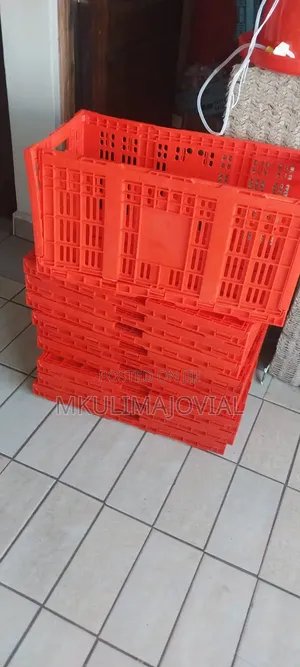 Egg Transportation Crates- Affordable Prices