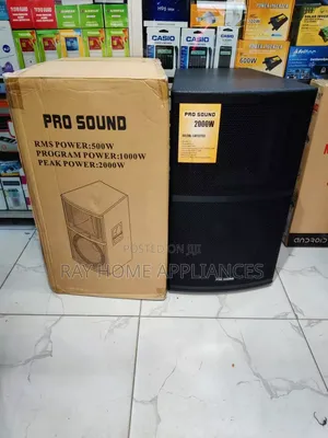 Pro Sound Wooden 15" Speaker
