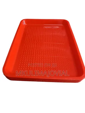 Chick Rectangular Feeding Trays - Quality Made