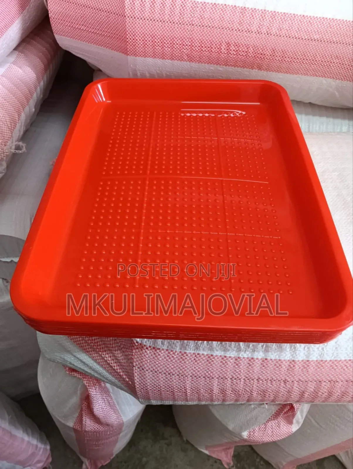 Rectangular Shape Chick Feeding Trays