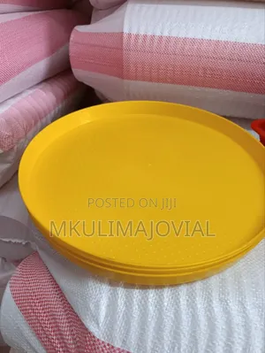 Chicken Feeding Trays - Quality Chick Trays