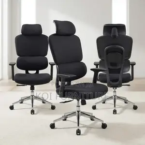 Office Chairs; Sytas Orthopedic Executive Office Chairs