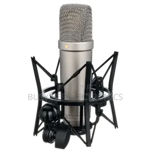 Large Diaphragm Microphones Nt1a