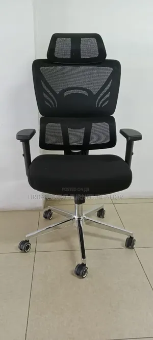 Orgonomic Office Chair