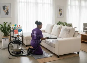 Dedicated, Effective Sofa Cleaning Services
