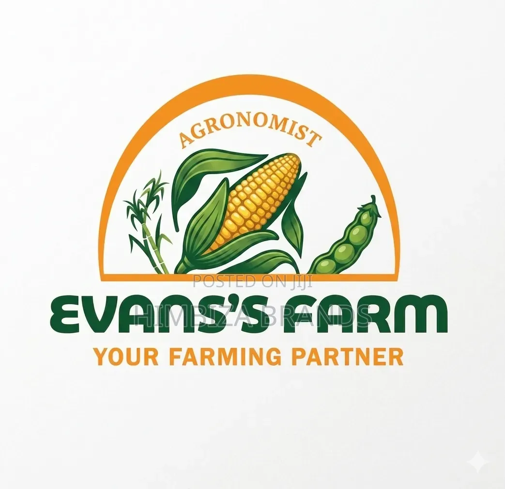 Modern Logo Designs