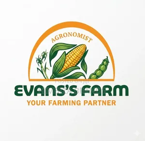 Modern Logo Designs